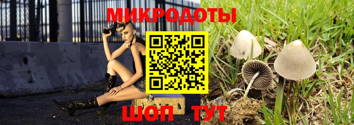 Галлюциногенные грибы Cubensis Набережные Челны