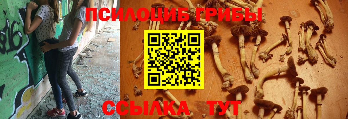 цены   Галлюциногенные грибы Psilocybe  Вход с VPN  Набережные Челны  Галлюциногенные грибы MAGIC MUSHROOMS 